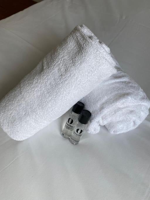 Le Nouveau Moulin By Concierge *
