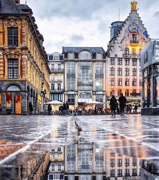 Le Nouveau Moulin By Concierge Appartement Lille